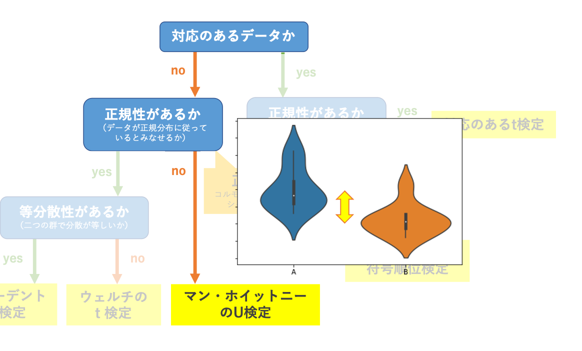 マン ホイットニーのu検定の概要とpython実装 実践ケモインフォ